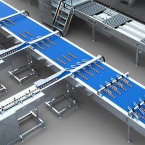 Cake arrange machine