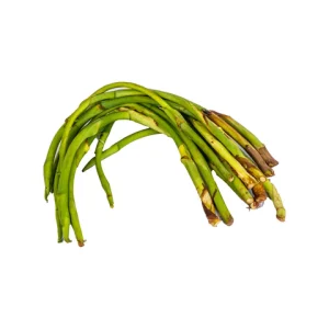 Loti (Kochur Loti / Taro Stolon / Taro Runner) – Premium Grade, Fresh & Processed, Export Quality