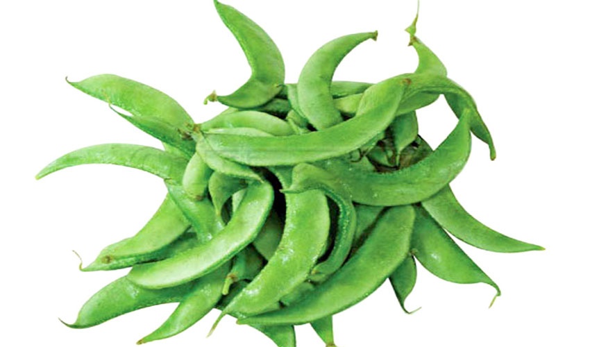 BANGLADESHI BEANS (LABLAB PURPUREUS / HYACINTH BEAN) - Image 2