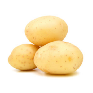 POTATO VARIETIES FOR EXPORT & PROCESSING