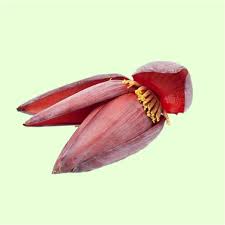 Kolar Mocha (Banana Blossom / Musa paradisiaca Flower) – Fresh, Blanched & Value-Added Export Formats